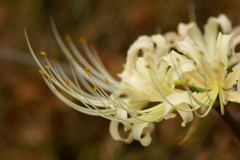 大高緑地公園にて　