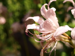 名古屋市農業センターにて　