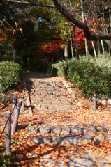 名古屋市農業センターにて