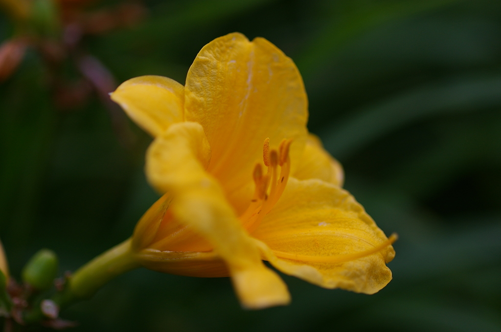 大高緑地公園にて