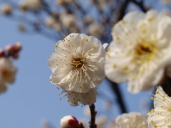 大高緑地公園にて