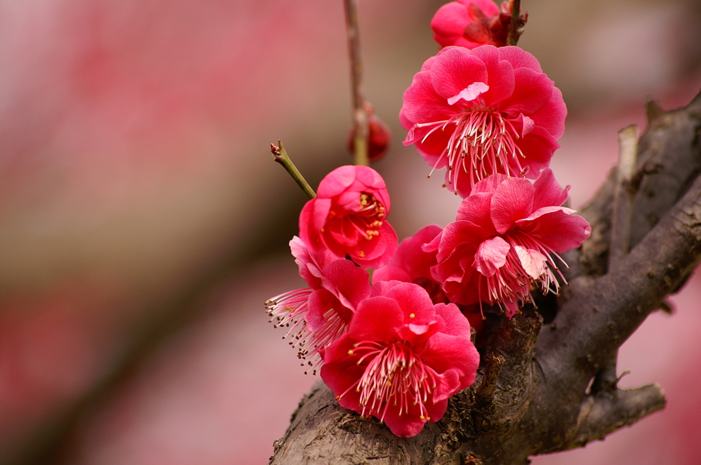 大高緑地公園にて　