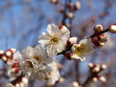 大高緑地公園にて