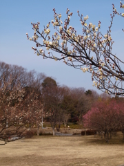 大高緑地公園にて