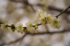 大高緑地公園にて　