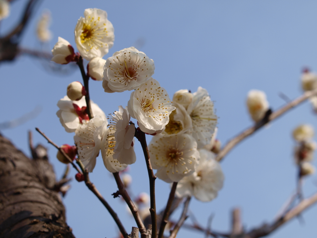 大高緑地公園にて