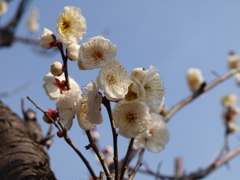 大高緑地公園にて