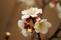 大高緑地公園にて　