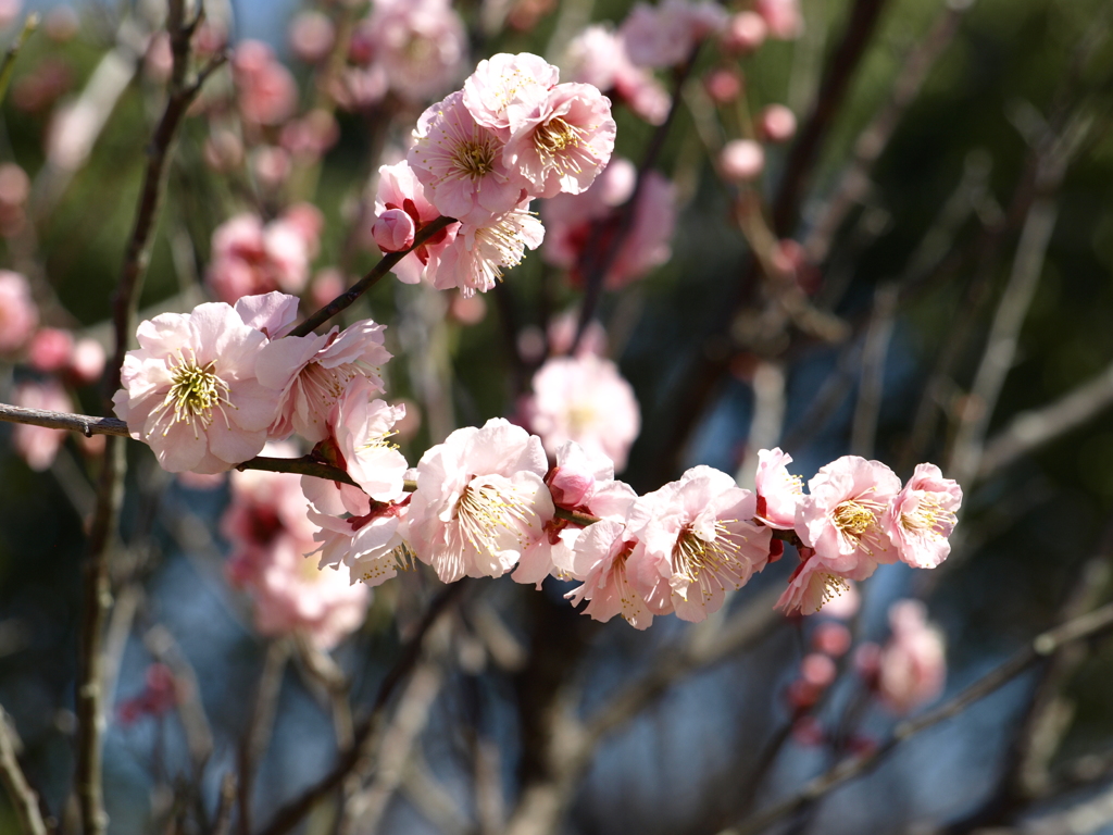 大高緑地公園にて　