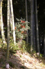 名古屋市農業センターにて