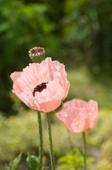名古屋市農業センターにて