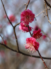 大高緑地公園にて