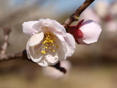 大高緑地公園にて　