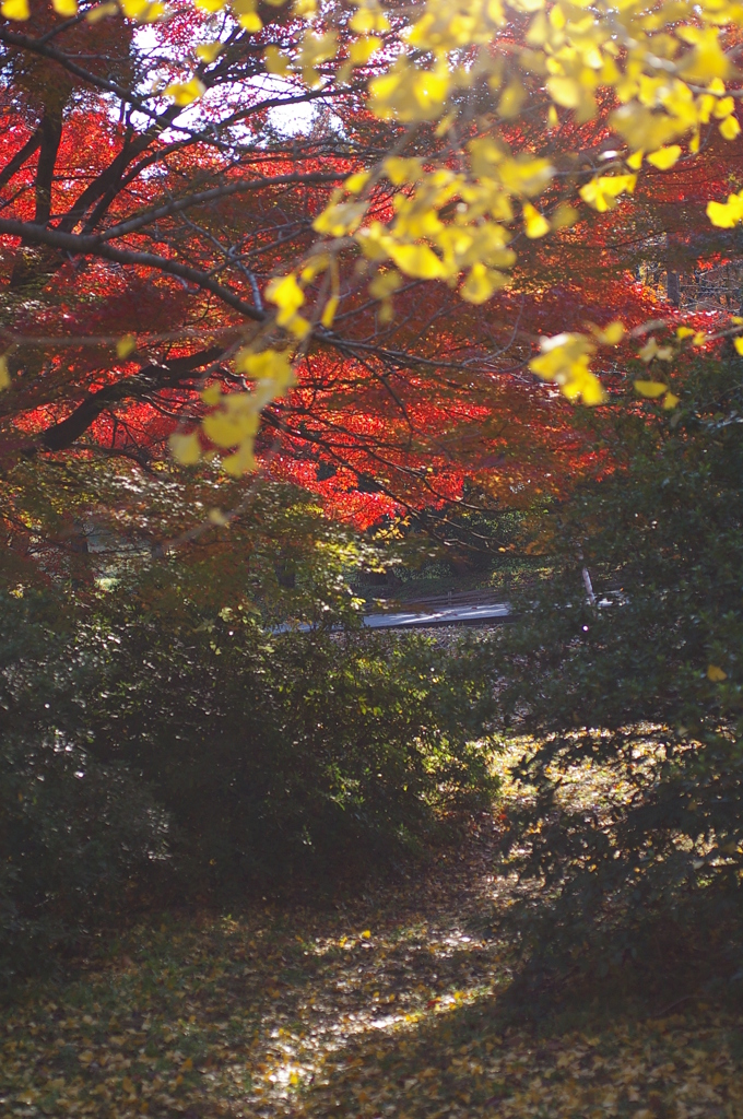 大高緑地公園にて