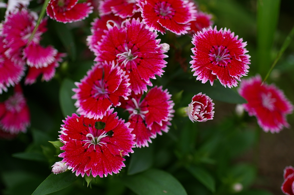 大高緑地公園にて