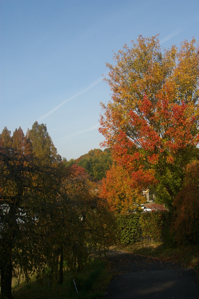 名古屋市農業センターにて