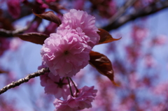 大高緑地公園にて　