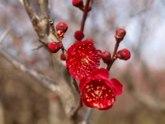 大高緑地公園にて