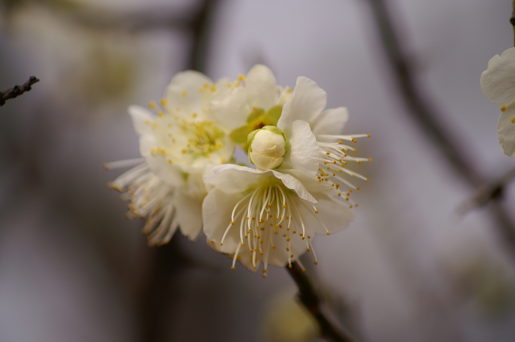 大高緑地公園にて　