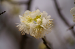 大高緑地公園にて　