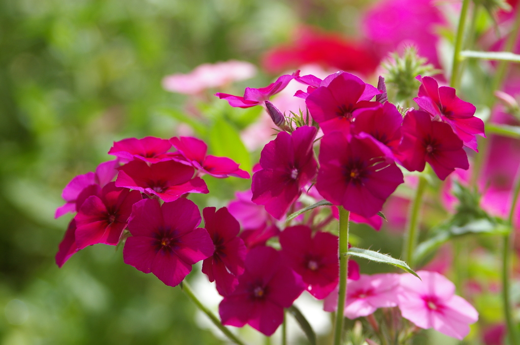 名古屋市農業センターにて　