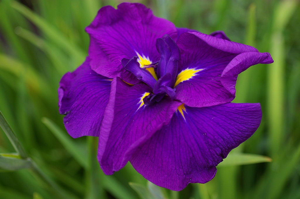 真上から失礼します＾＾