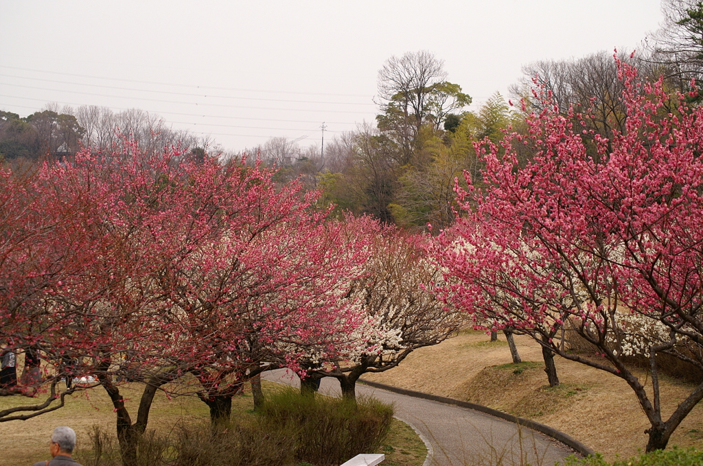 大高緑地公園にて　