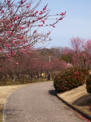 大高緑地公園にて
