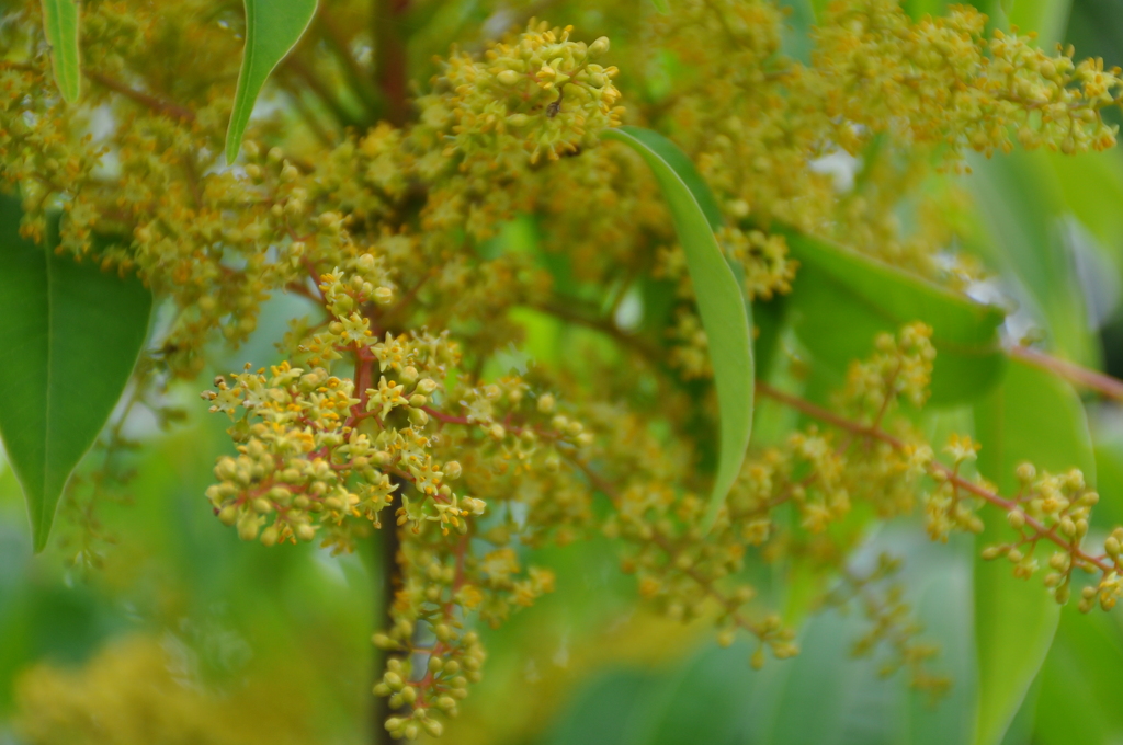 大高緑地公園にて　