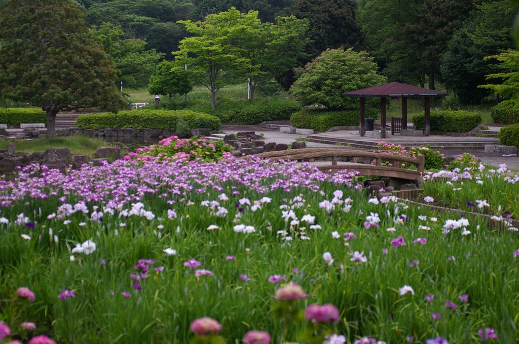 大高緑地公園にて