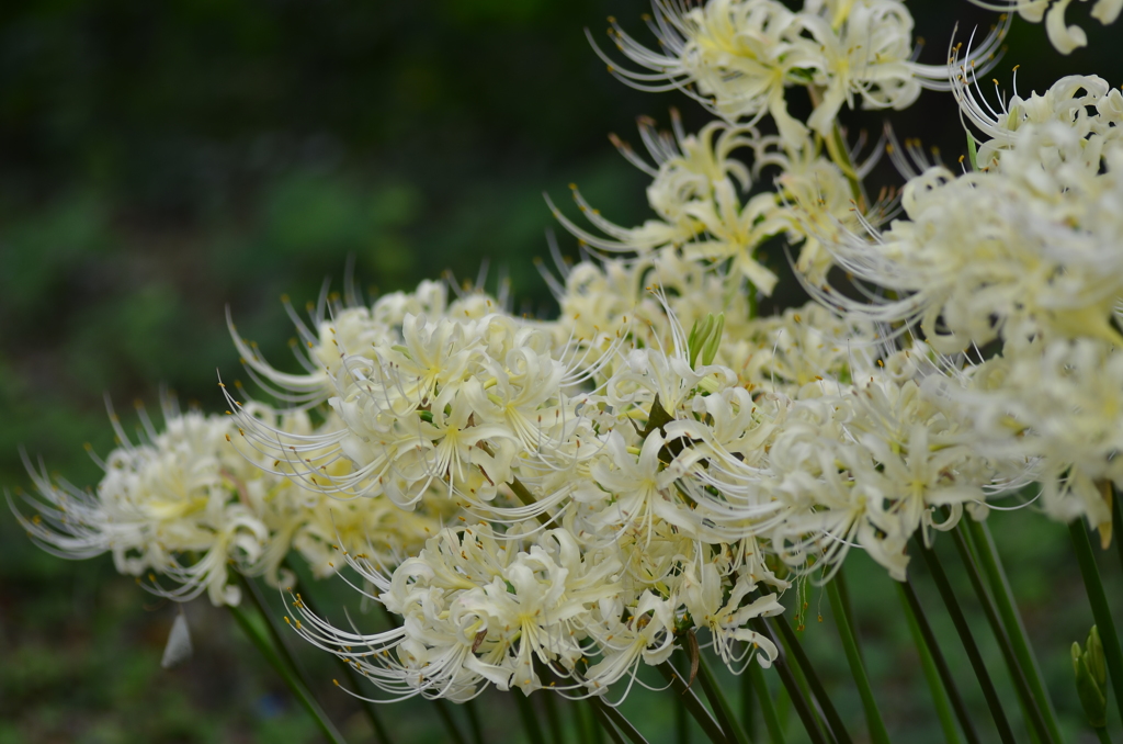 名古屋市農業センターにて　