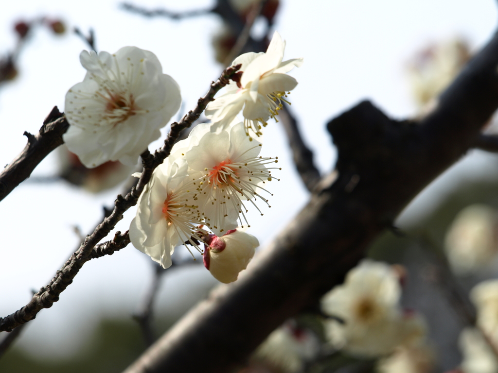 大高緑地公園にて