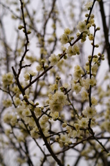 大高緑地公園にて　