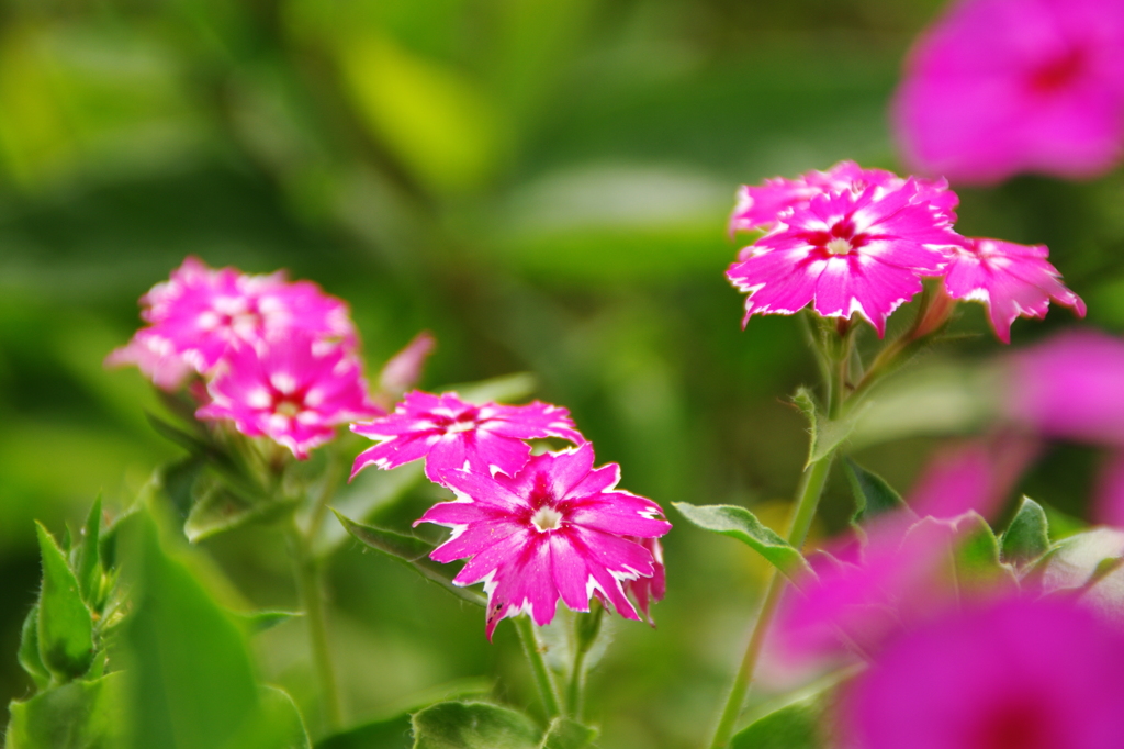 名古屋市農業センターにて　