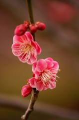 大高緑地公園にて