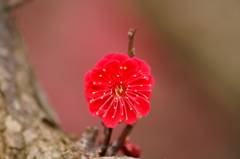 大高緑地公園にて　