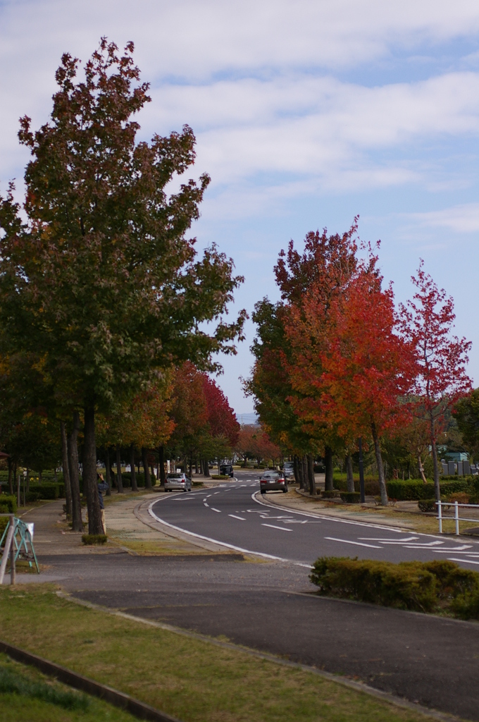 みどりが丘公園にて　