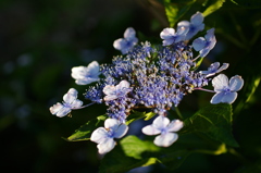 大高緑地公園にて　