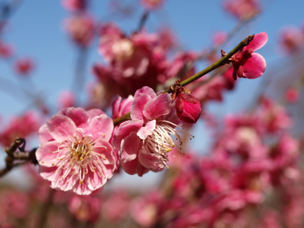 大高緑地公園にて　