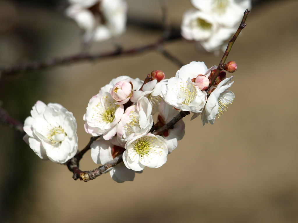 大高緑地公園にて　
