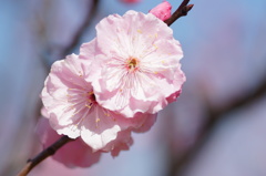大高緑地公園にて　
