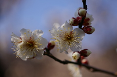 大高緑地公園にて
