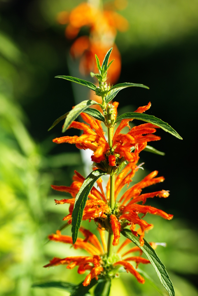 名古屋市農業センターにて