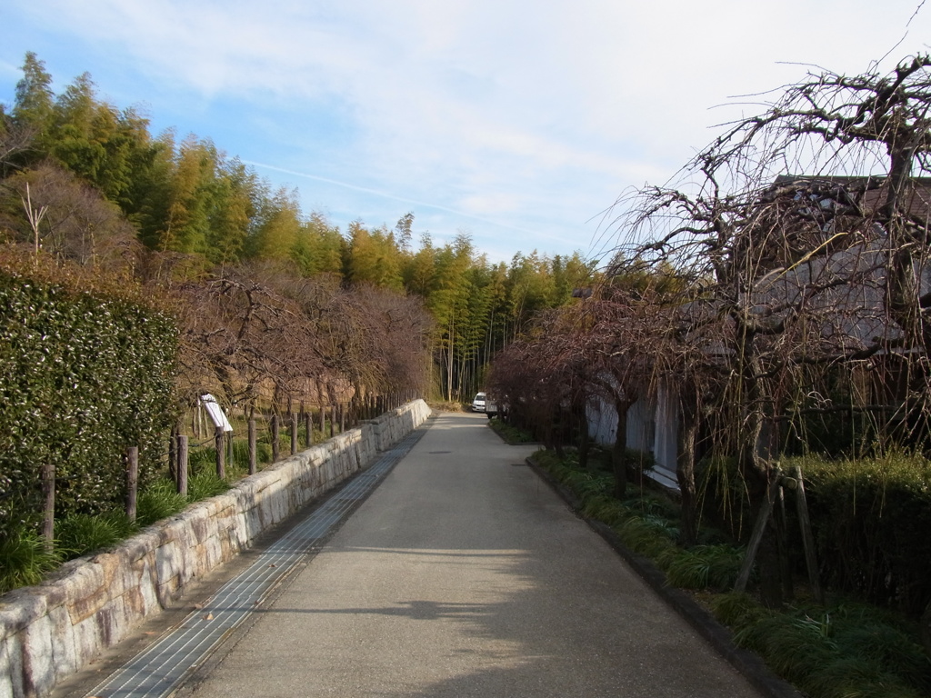 名古屋市農業センターにて