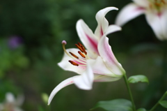 名古屋市農業センターにて　