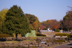 大高緑地公園にて