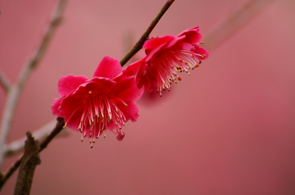大高緑地公園にて
