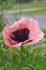 覗いてごらん＾＾