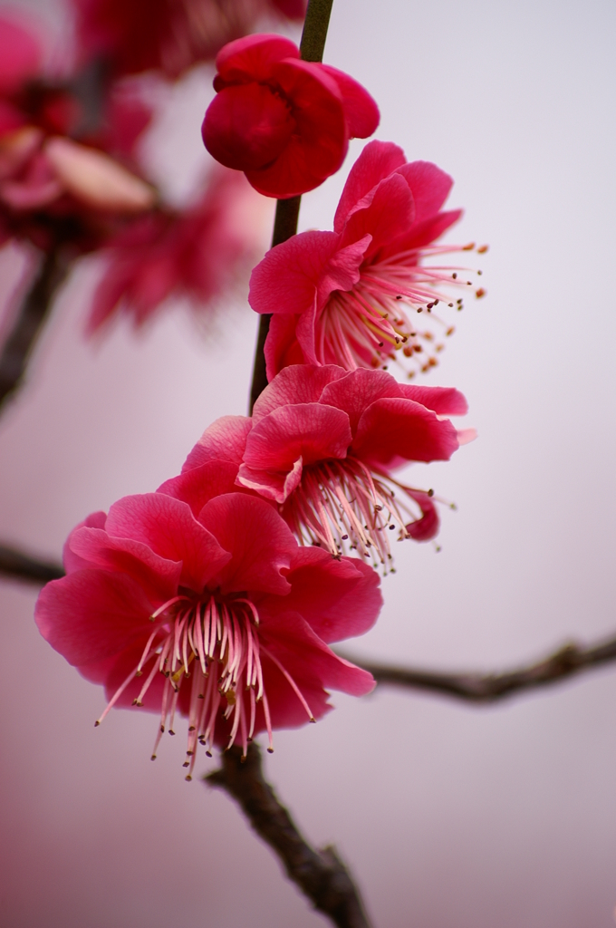 大高緑地公園にて　
