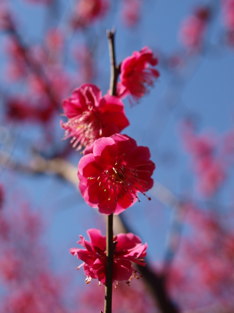 大高緑地公園にて　